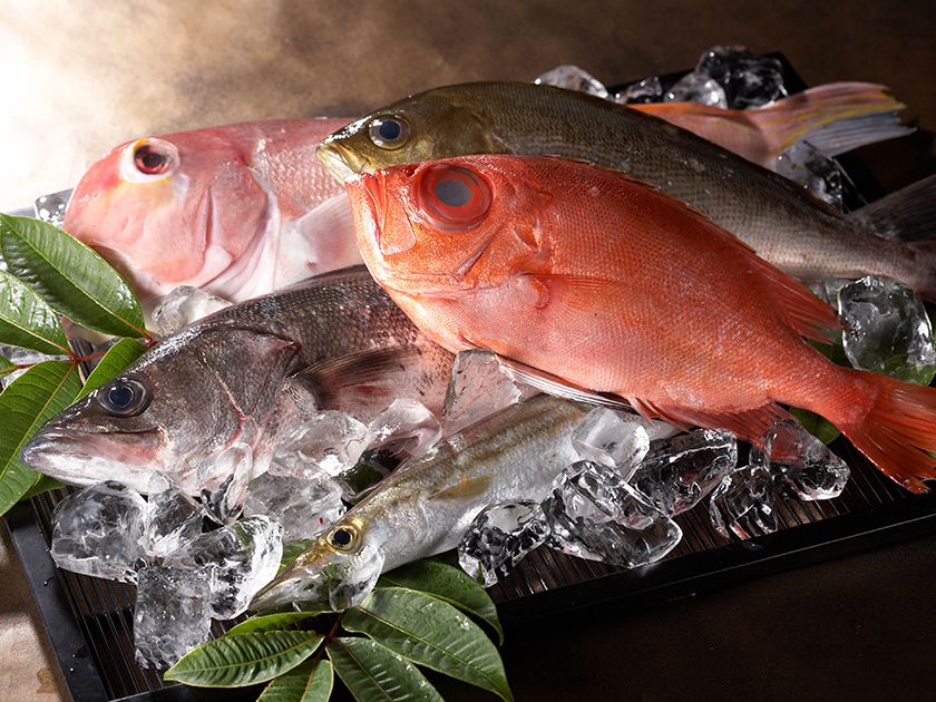 旬の魚介と特選和牛のステーキコース